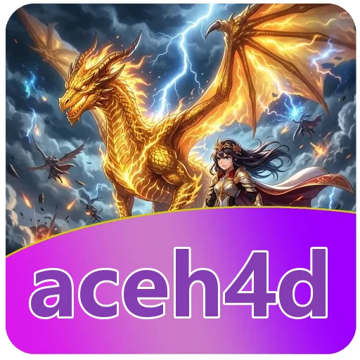 Tim aceh4d